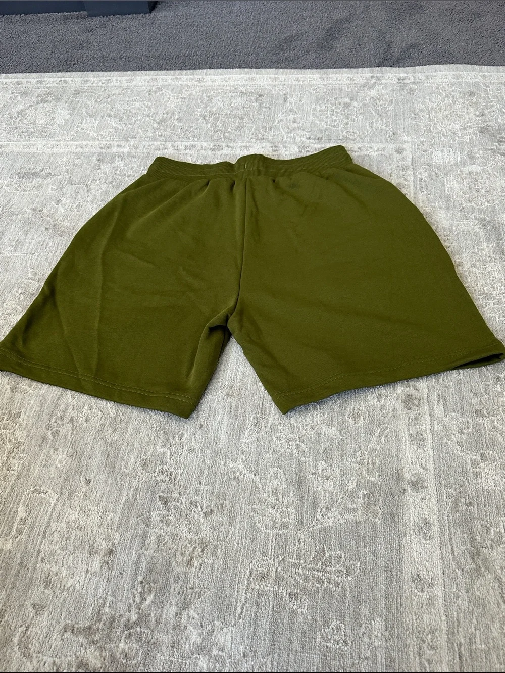 The North Face Men’s Medium Forest Olive Terry Regular Shorts. NWT’s.